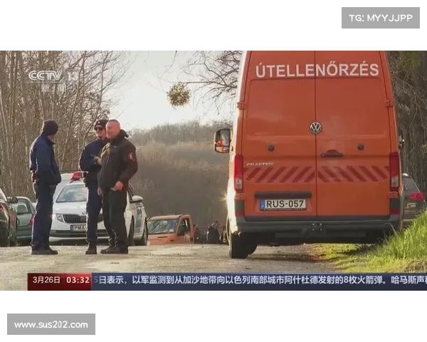 拉力赛事故死亡多少人